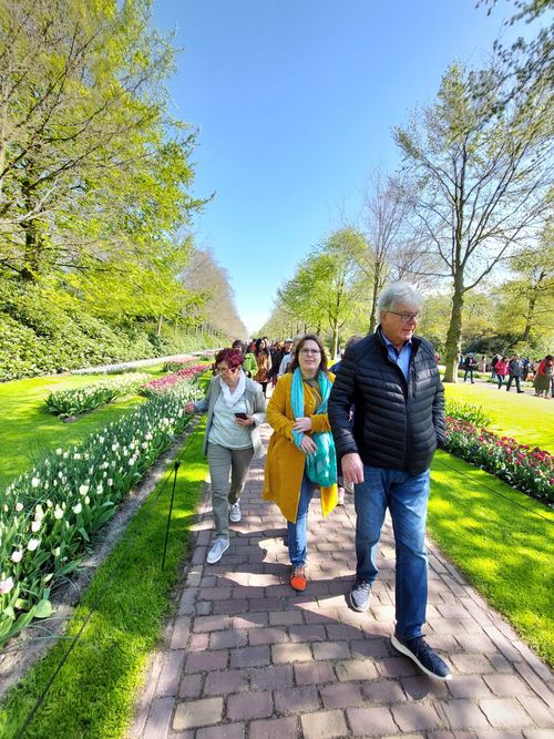 Spaziergang durch den Frühlingspark