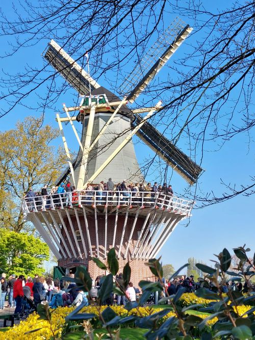 Windmühle im Keukenhof