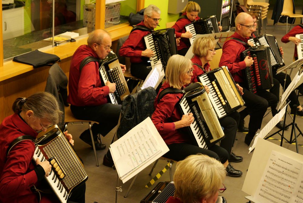 Hobby-Akkordeonisten