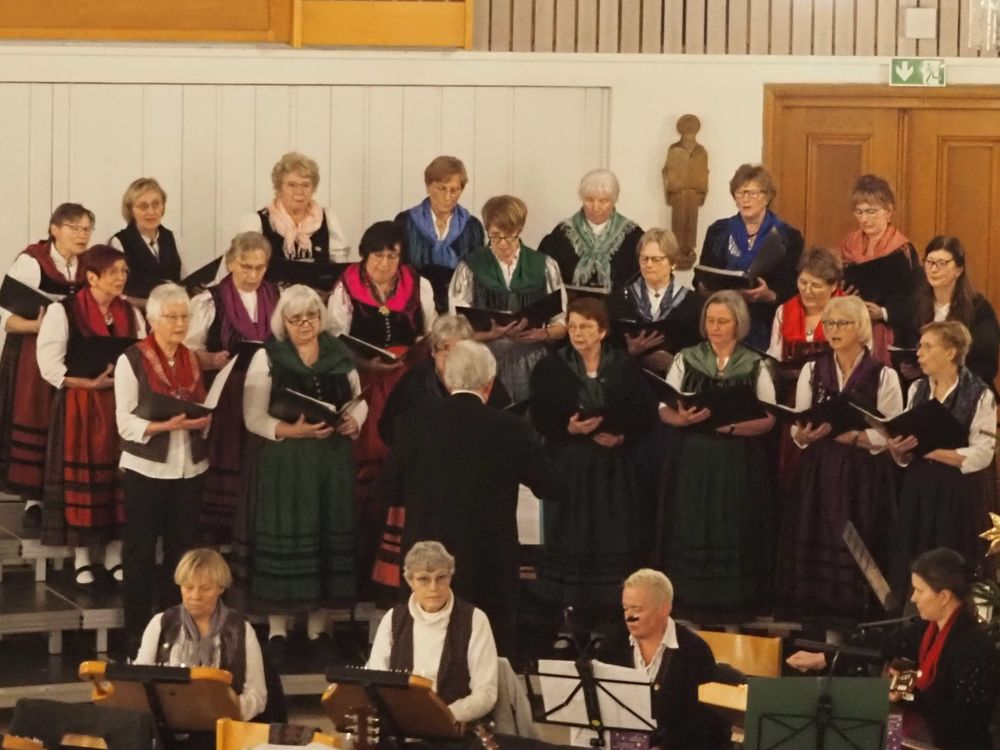 Hofer Landfrauenchor