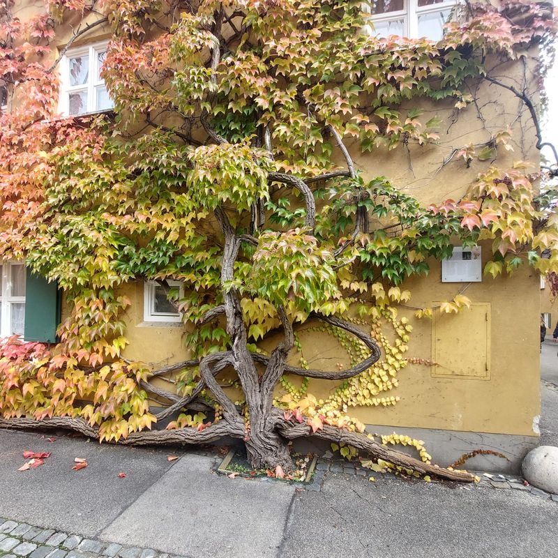 Führung in der Fuggerei