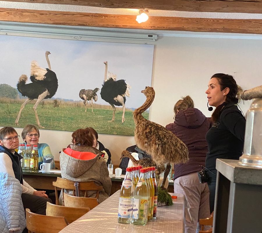 Führung auf dem Straussenhof